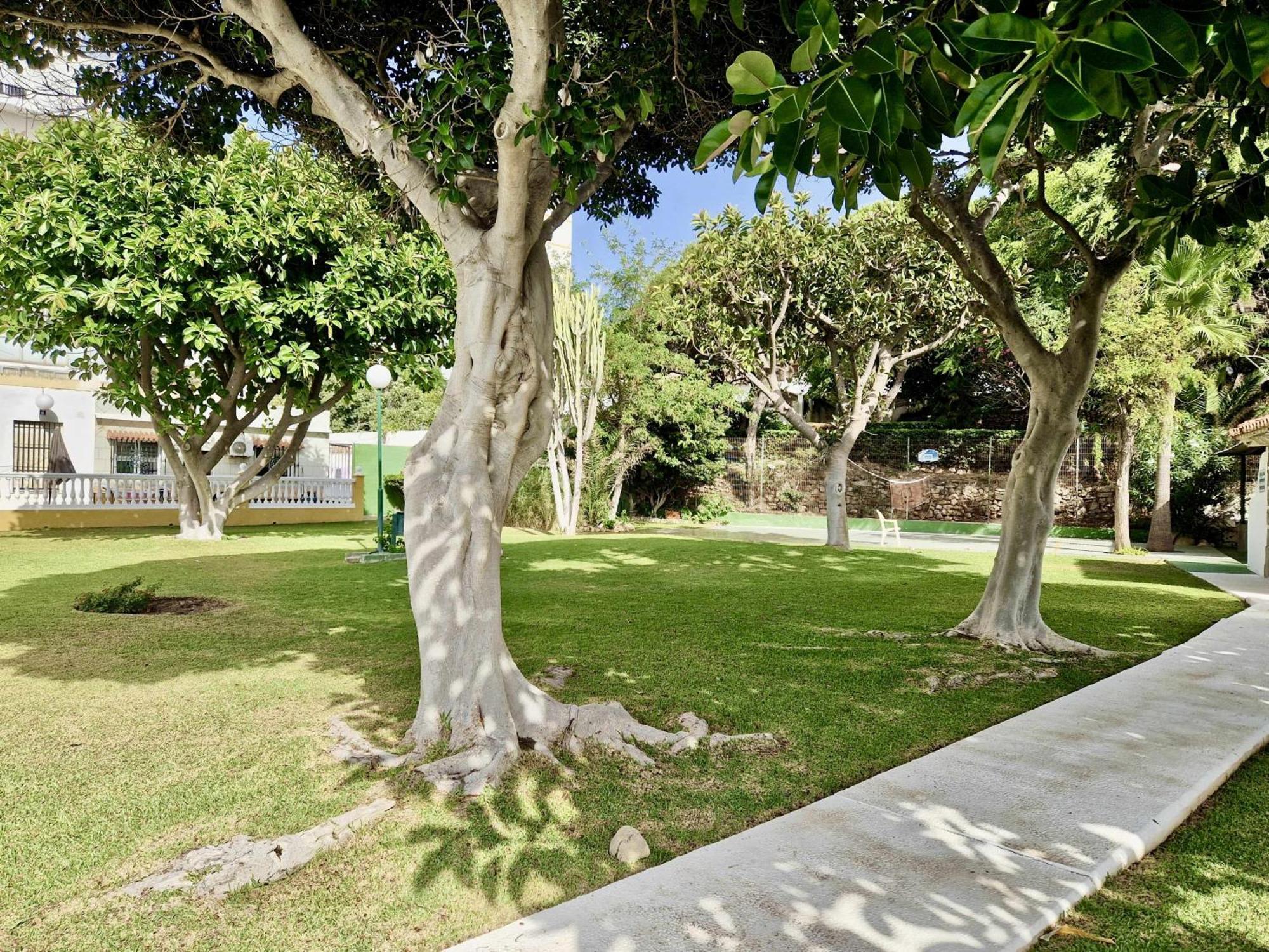 Sitio de CalahondaSr Almirante 1ª Linea De Playa公寓 外观 照片